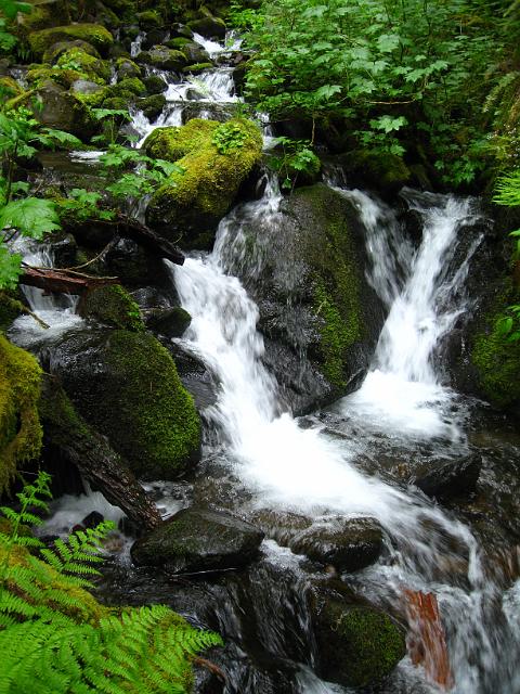 Eagle Creek-164.JPG - Eagle Creek